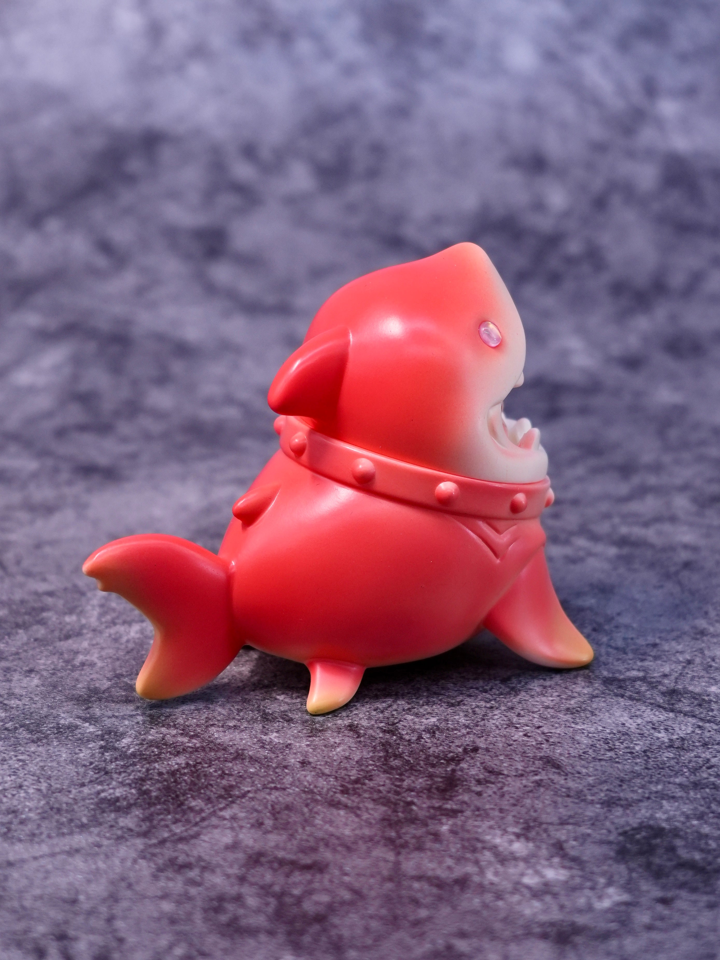 Apple Shark-Cat by HOTRU