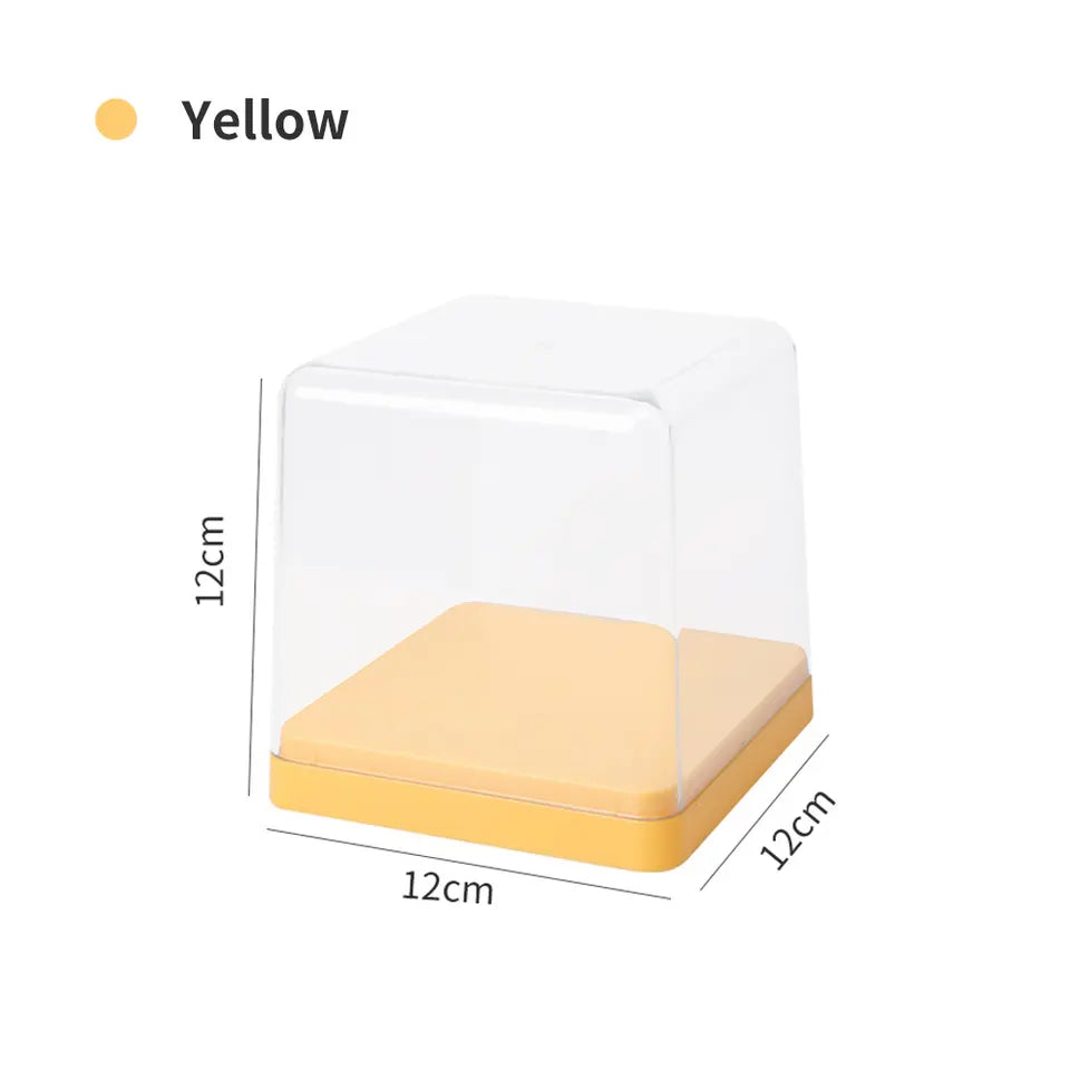 Box Display Case