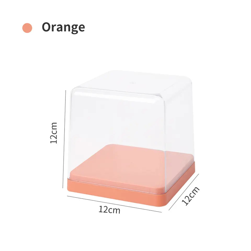 Box Display Case