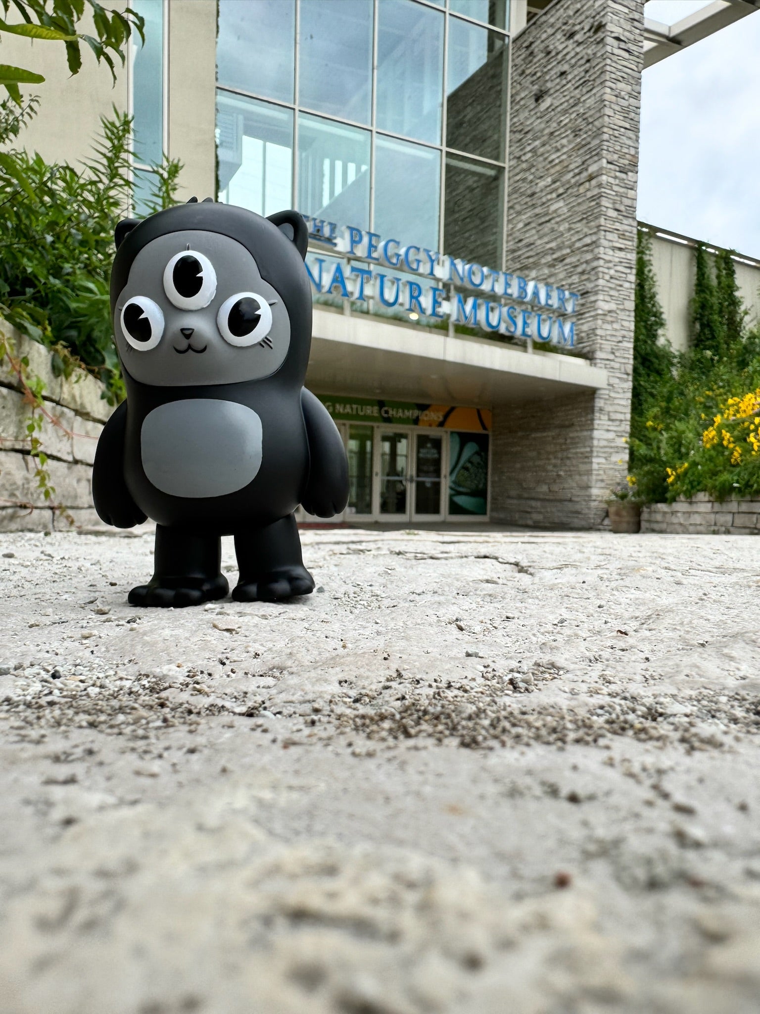 Beans - OG - Preorder: A 5 black vinyl toy figure of a cartoonish cat with three eyes stands on a plaza, near a nature museum entrance.