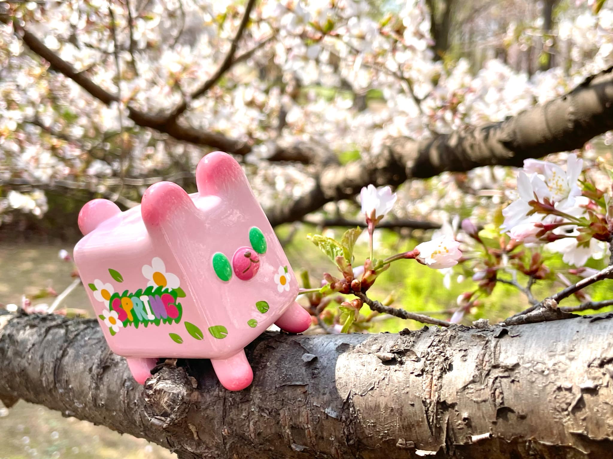 Box Bear - Sakura Spring Ver. by Rato Kim, a pink toy resembling a bear with a face, perched on a tree branch amidst blossoms. Limited edition art toy.