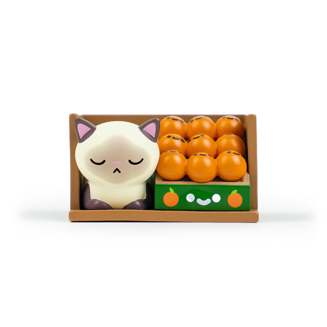 Bodega Kitties Mystery Boxes by 100% Soft